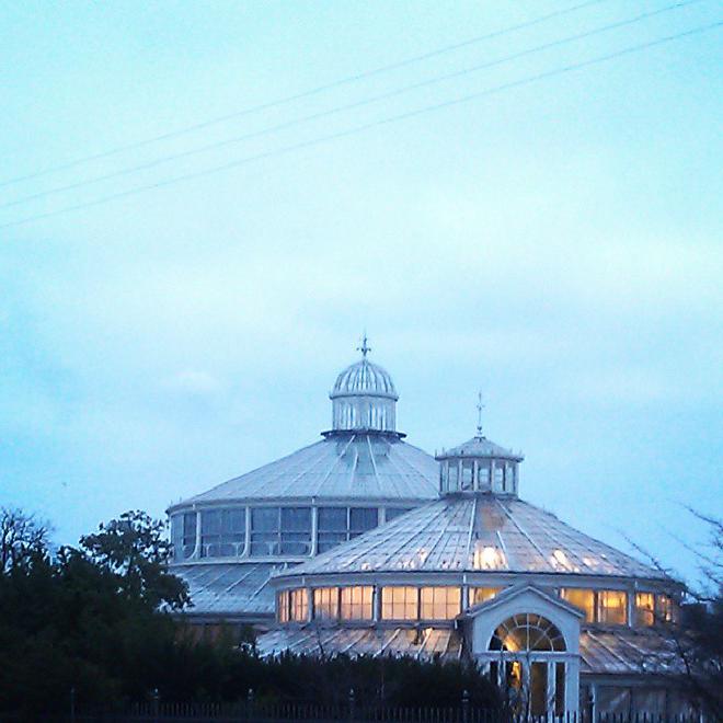 Warm light on a grey day: the Botanic Garden's Palm House